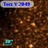 Terz V 2049