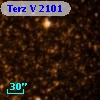Terz V 2101