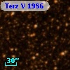 Terz V 1986