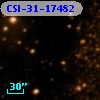 CSI-31-17482