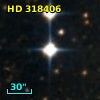 HD 318406
