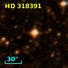 HD 318391