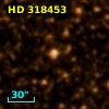 HD 318453