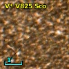 NOVA Sco 1964