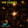 HD 318441
