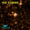 HD 318440
