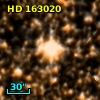 HD 163020
