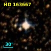 HD 163667