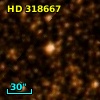 HD 318667