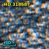 HD 318687