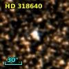 HD 318640