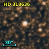 HD 318636