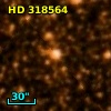 HD 318564