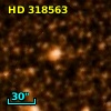 HD 318563