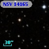 NSV 14165