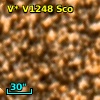 V* V1248 Sco