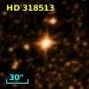 HD 318513