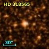 HD 318565
