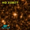 HD 318677