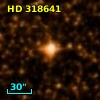 HD 318641
