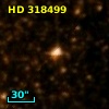 HD 318499