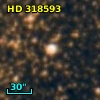 HD 318593