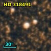 HD 318491