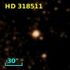 HD 318511