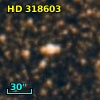 HD 318603