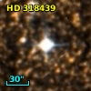 HD 318439