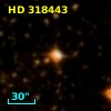 HD 318443