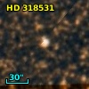 HD 318531