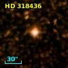HD 318436