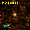 HD 318556