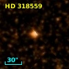 HD 318559