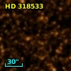 HD 318533