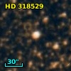 HD 318529