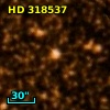 HD 318537