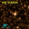 HD 318524
