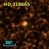 HD 318665