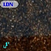 LDN 1766