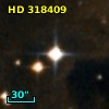 HD 318409