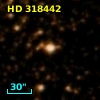 HD 318442