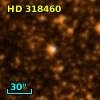 HD 318460