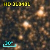 HD 318481