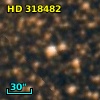 HD 318482