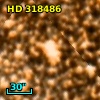 HD 318486