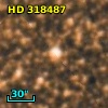 HD 318487