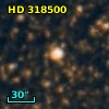 HD 318500