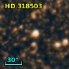 HD 318503